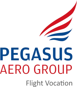 pegasus